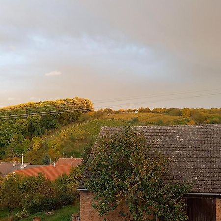 Apartmany 27 Němčičky エクステリア 写真