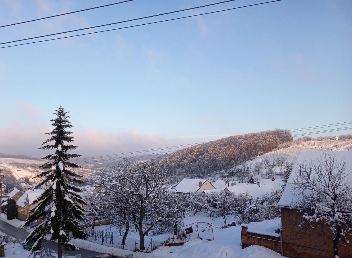 Apartmany 27 Němčičky エクステリア 写真